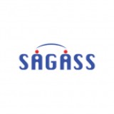 SAGASS Consulting logo