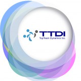 TopTeam Dynamics Inc logo