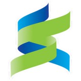 Flexi Finance Asia, Inc. logo