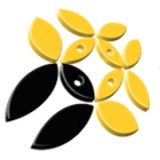 Consult Asia Business Solutions logo