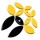 Consult asia business solutions company logo