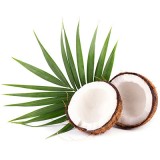 Millennium Specialty Coconut Products Inc logo