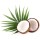 Millennium coconut products company logo