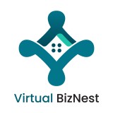 Virtual Biznest logo