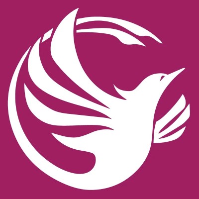 Phoenix Virtual Solutions logo