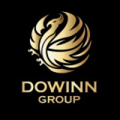 Dowinn Group logo