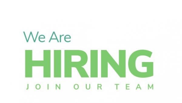 Jobtalk - Senior Data Analyst, English bilingual, Work from home (WFH)  for GrowthAssistant