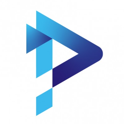 Premier Software Enterprise, Inc. logo