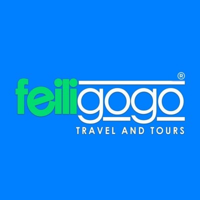 Feili International Business Travel and Tours Inc. logo