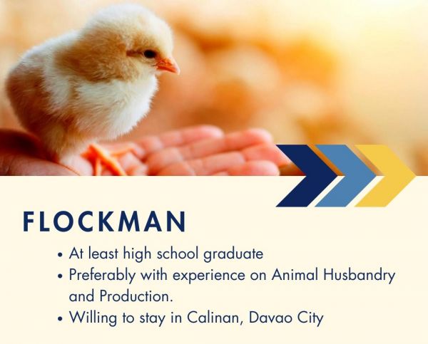 Jobtalk - Flockman vacancy in Davao City! Hiring by Sonic Sales & Distribution, Inc.