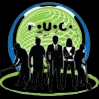 Perlin Unlimited Corp. logo