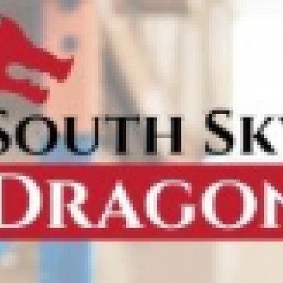 South Sky Dragon Wellness Corp. logo